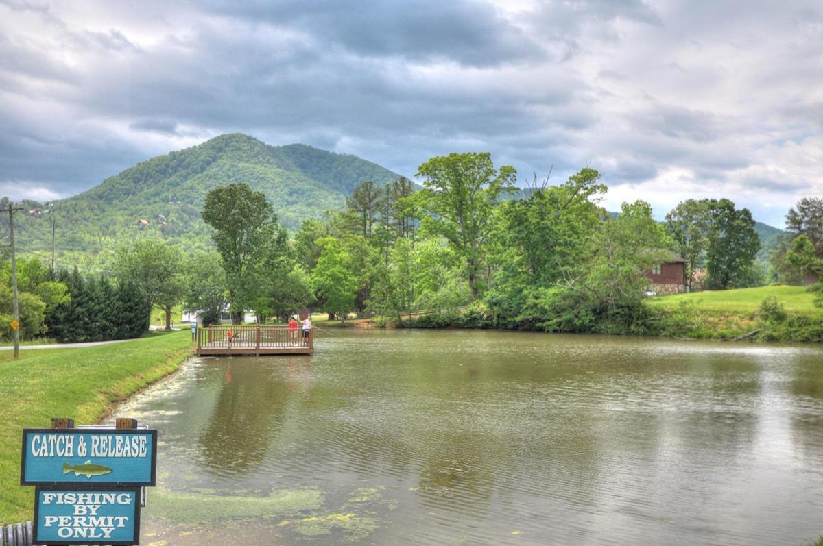 Bears Valley Inn - Great Location! - Peaceful, Children And Dog Friendly Retreat - Less Than 15 Min To All Attractions - Private Pool Club & Fishing Hole - Game Room With Tv Sevierville Ngoại thất bức ảnh